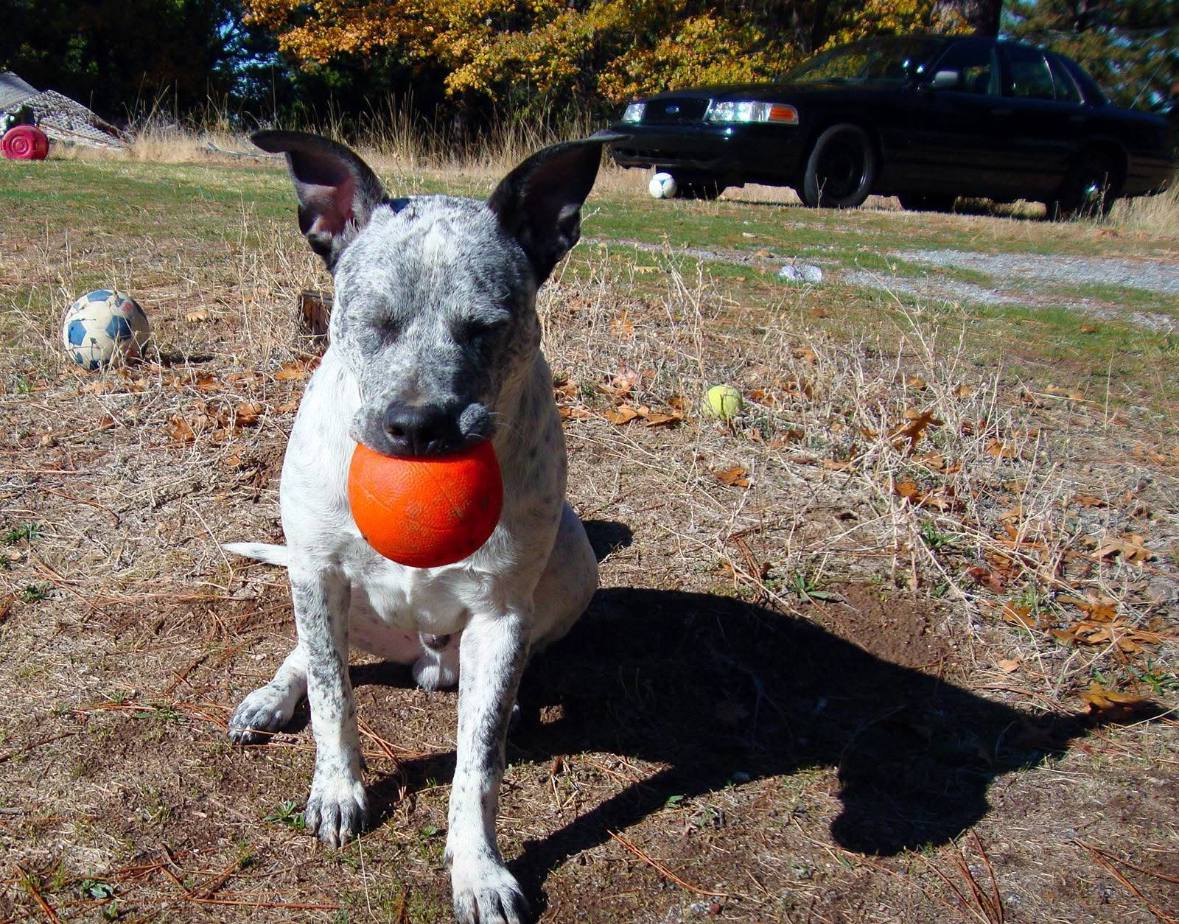 Zeus Photo 17