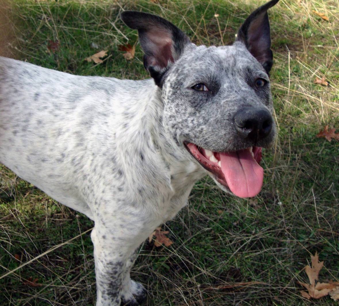 Zeus Photo 1