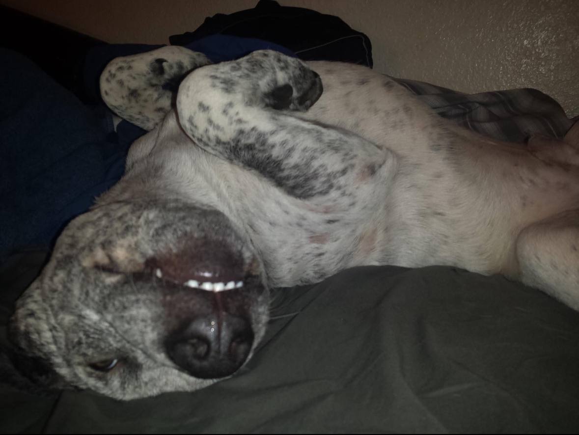 Zeus Photo 2