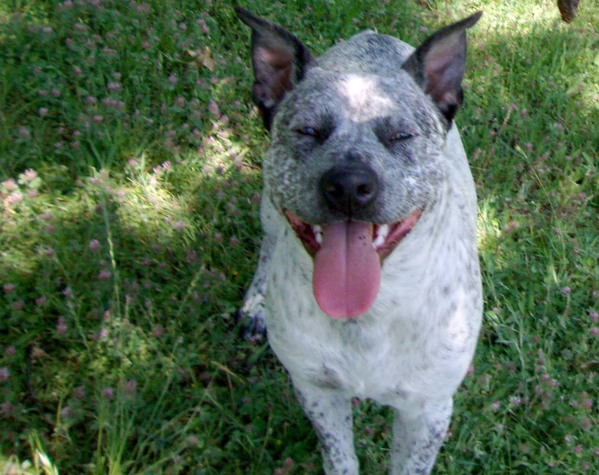 Zeus Photo 5